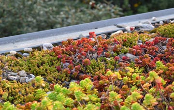 the cost of Blyth End green roof installation
