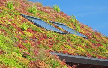 Blyth End living roof systems